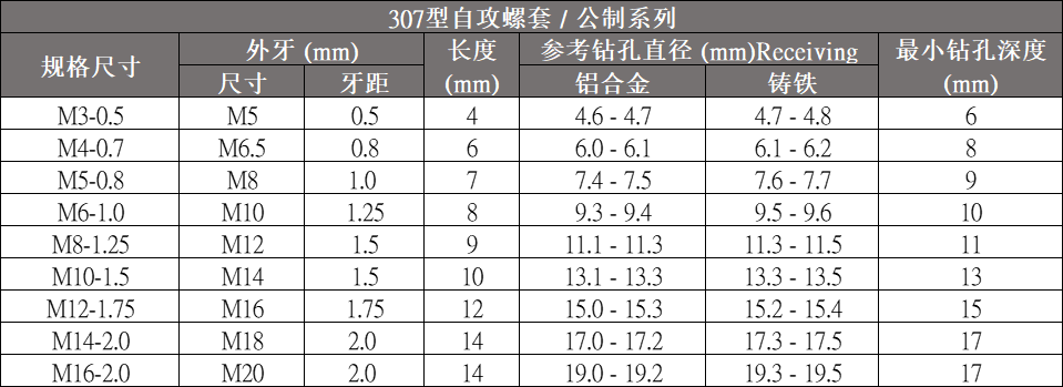 307公製