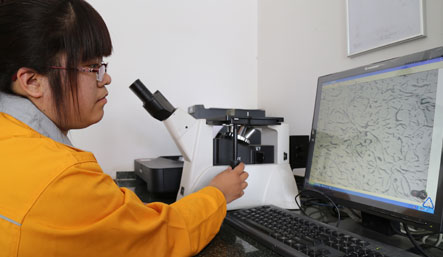 企業風采（cǎi）